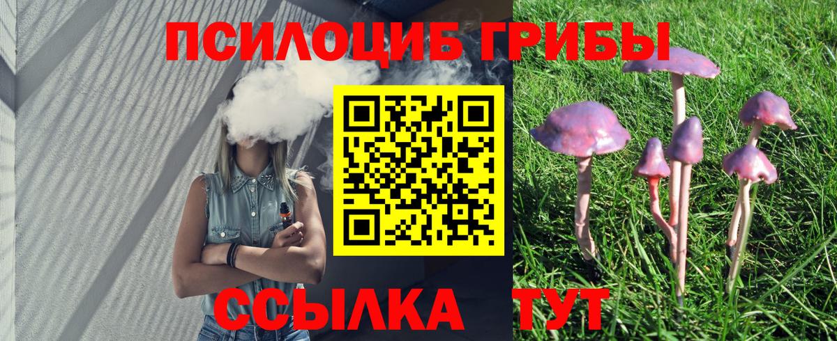 Выкса  Псилоцибиновые грибы Cubensis  Вход с VPN 